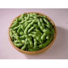 Soybean Extract